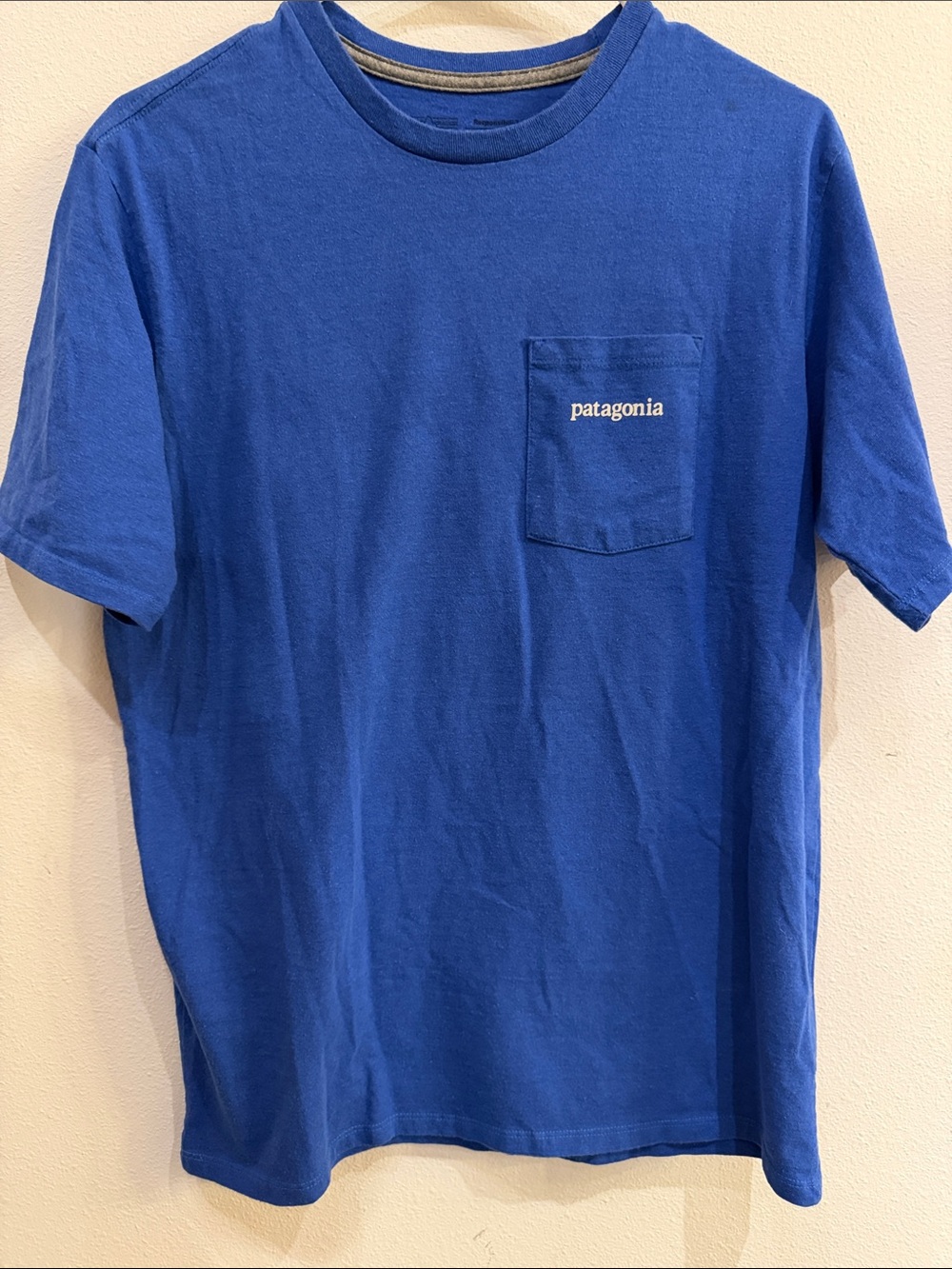 Patagonia Pocket Tee